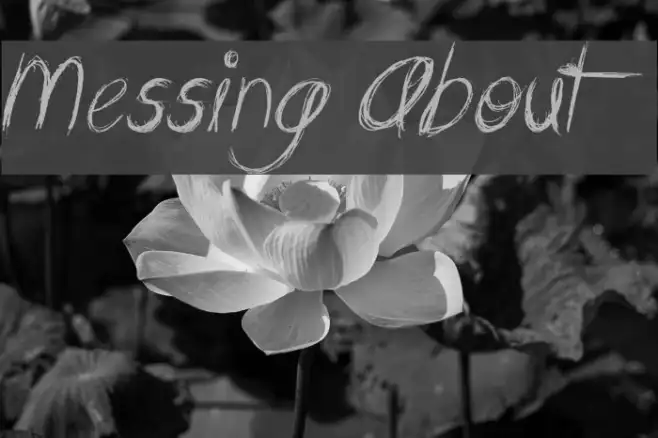 Messing About Example 3