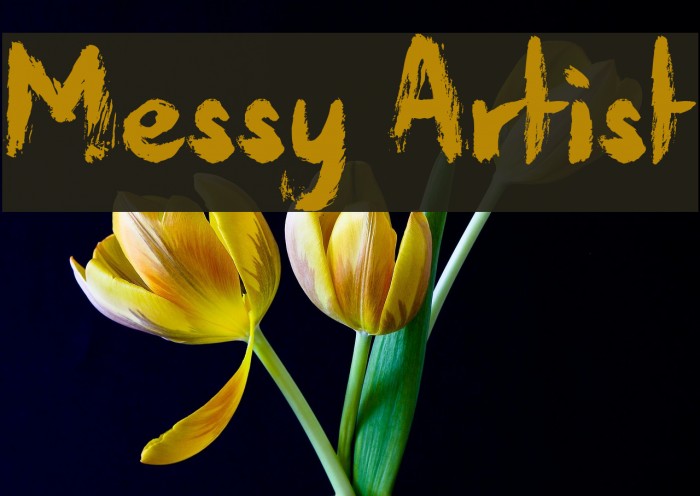 Messy Artist Font examples