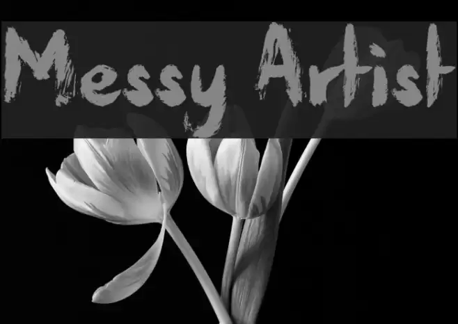 Messy Artist Font examples