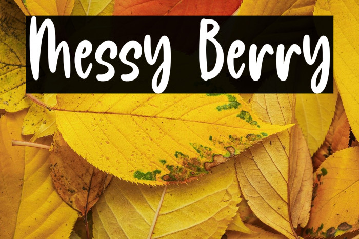 Messy Berry Example 2