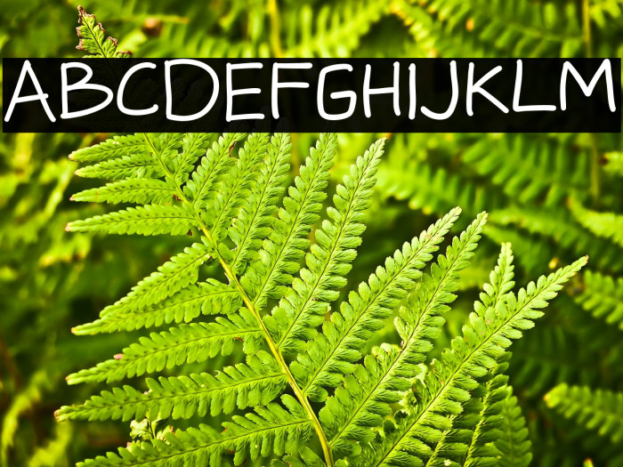 Messy Board Example 3