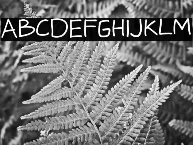 Messy Board फ़ॉन्ट examples