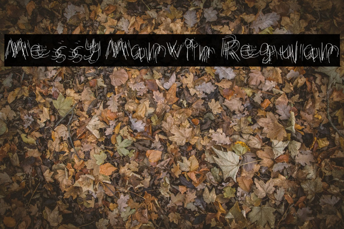 Messy Marvin Regular Font examples