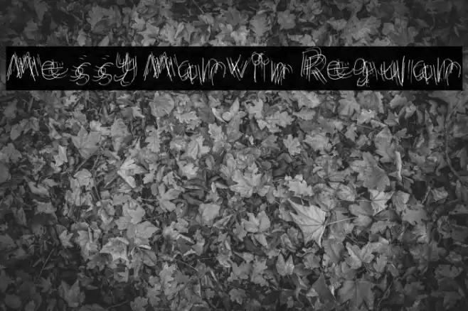 Messy Marvin Regular फ़ॉन्ट examples