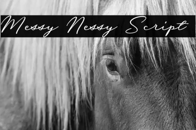 Messy Nessy Script 1 Font examples