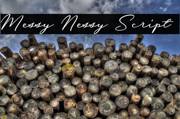 Messy Nessy Script 1 Example 2