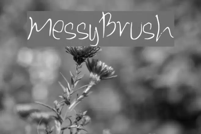 MessyBrush Font examples