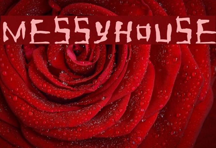 Messyhouse Font examples