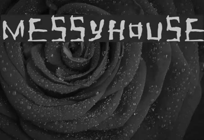 Messyhouse Example 1