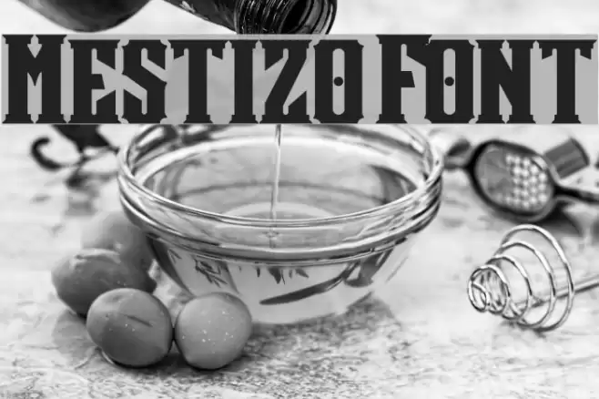 Mestizo Font Font examples