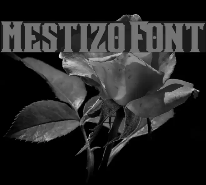 Mestizo Font Font examples