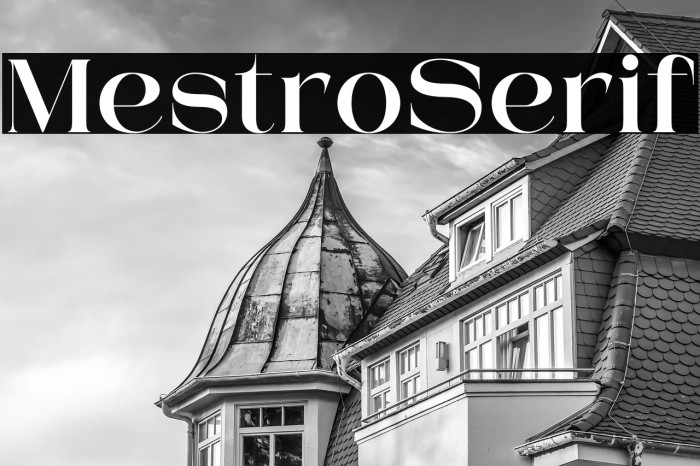 Mestro Serif Example 1