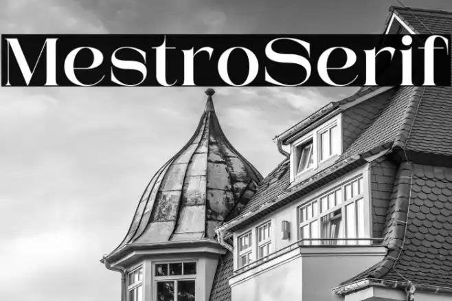 Mestro Serif Example 1