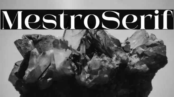 Mestro Serif Example 2