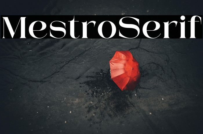 Mestro Serif Example 3
