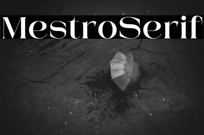 Mestro Serif Example 3