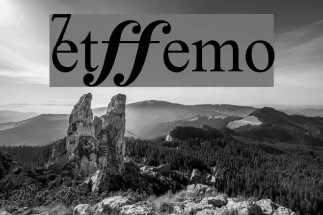 MetDemo Font examples