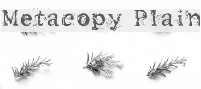 Metacopy Plain Font examples