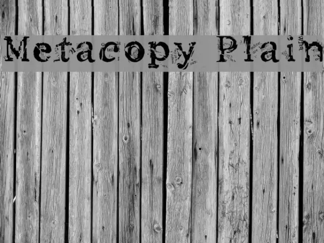 Metacopy Plain Font examples