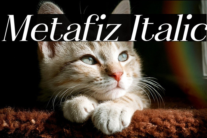 Metafiz Italic Example 1