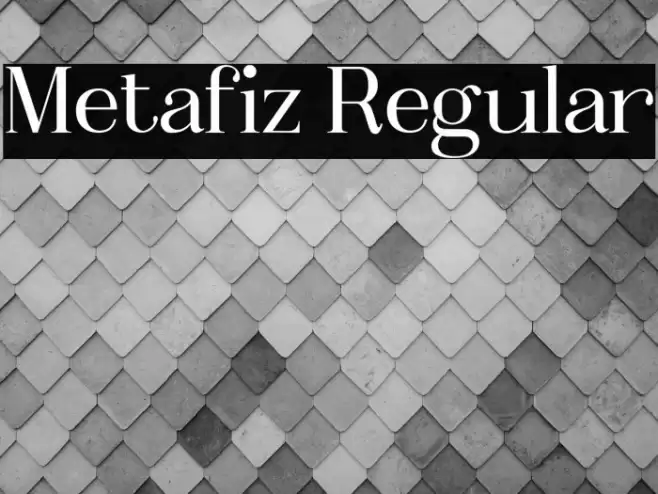 Metafiz Regular Font examples