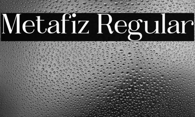 Metafiz Regular Font examples