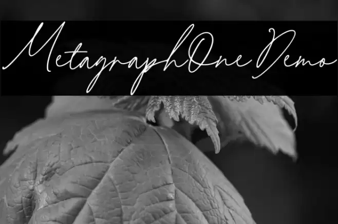 MetagraphOneDemo Polices examples