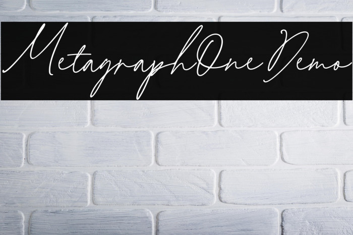 MetagraphOneDemo Example 2