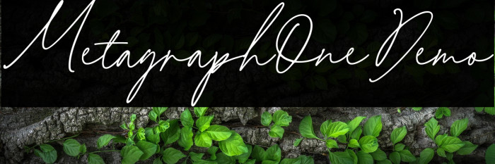 MetagraphOneDemo Example 3