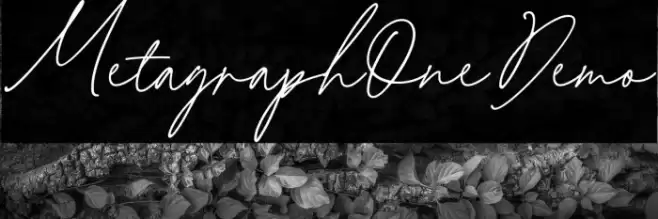 MetagraphOneDemo Polices examples