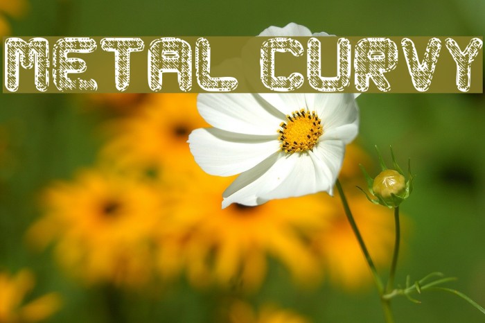 Metal Curvy Font examples