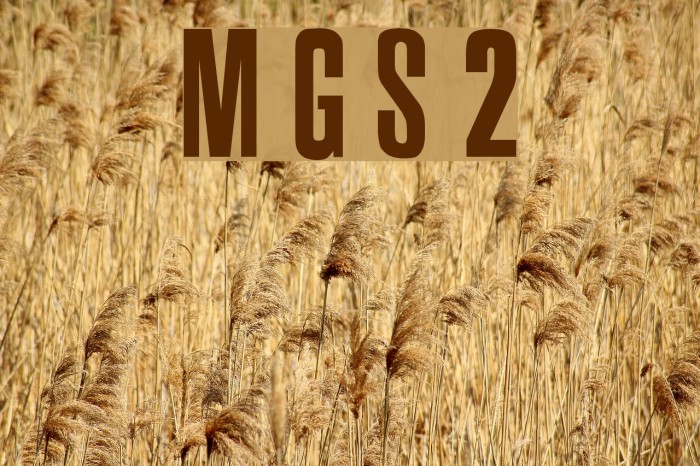 Metal Gear Solid 2 Font examples