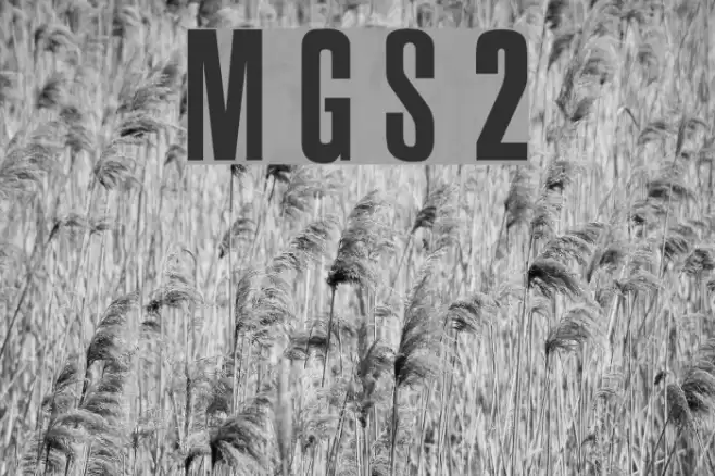 Metal Gear Solid 2 Fonte examples
