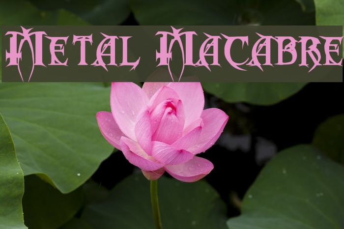 Metal Macabre Font examples