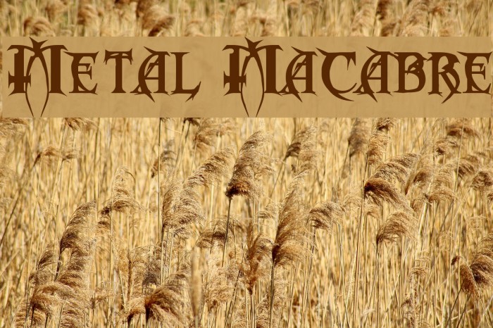 Metal Macabre Font examples