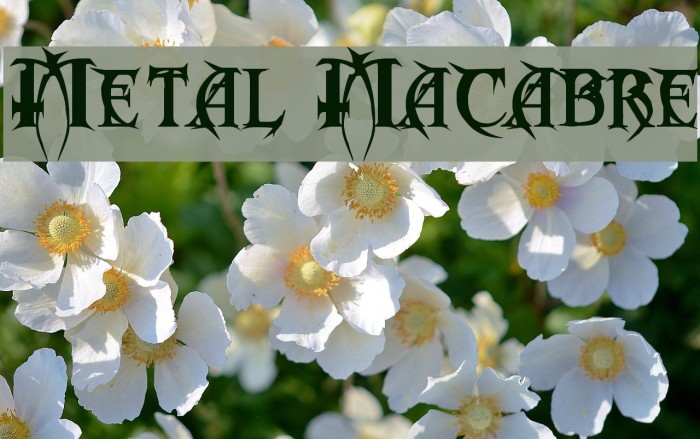Metal Macabre Font examples