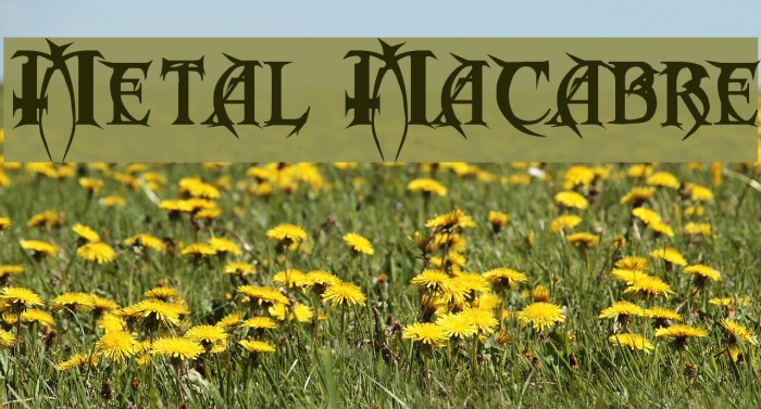 Metal Macabre Font examples