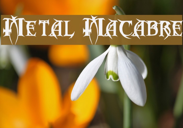 Metal Macabre Font examples