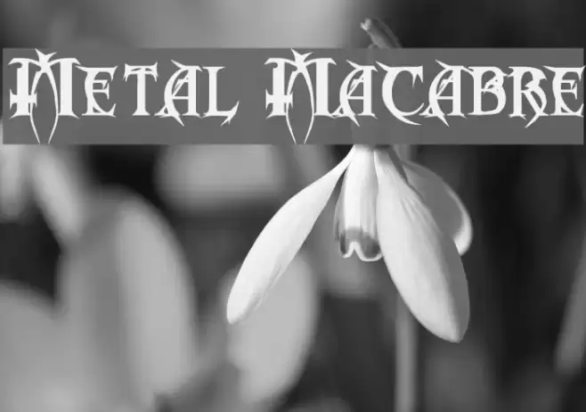 Metal Macabre Schriftart examples