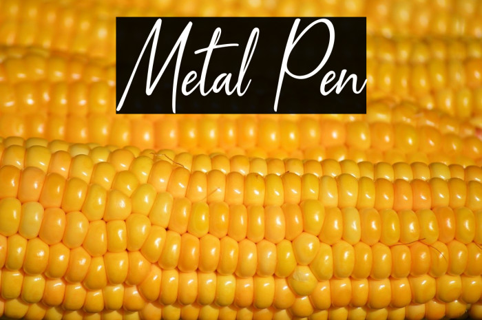 Metal Pen Example 2
