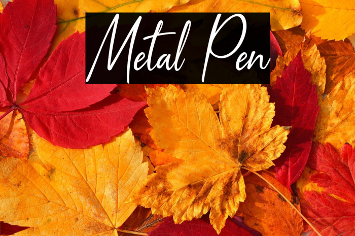 Metal Pen Example 3