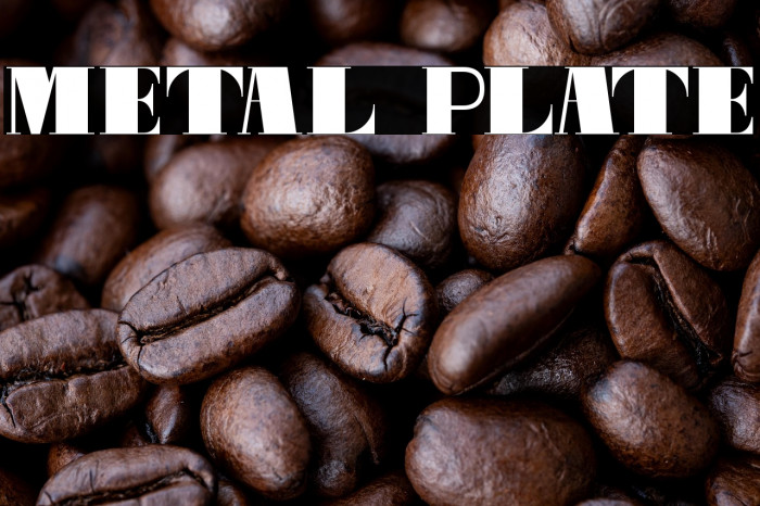 Metal Plate Example 2
