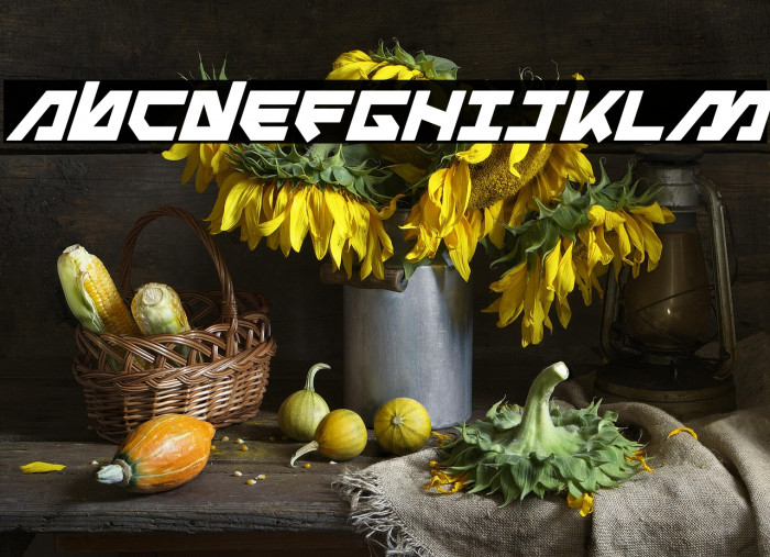 Metal Storm Bold Italic Example 2