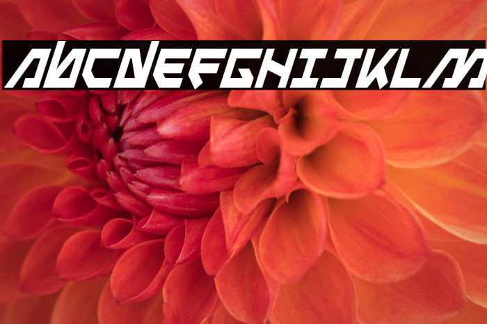 Metal Storm Condensed Italic Example 1