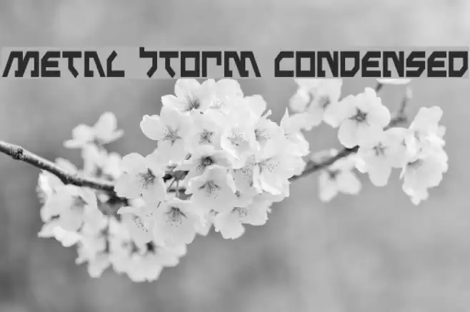 Metal Storm Condensed Font examples