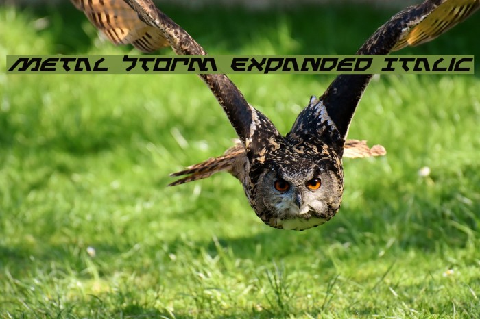 Metal Storm Expanded Italic Example 1