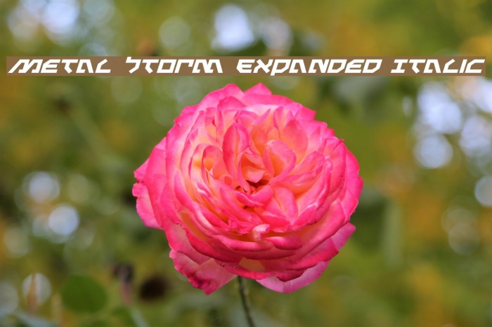 Metal Storm Expanded Italic Example 2