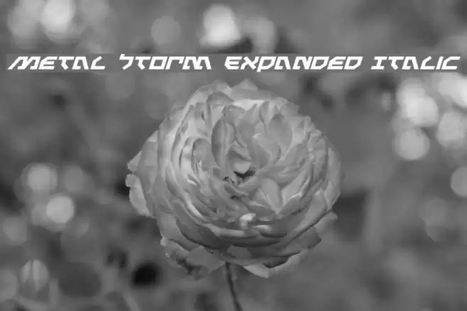 Metal Storm Expanded Italic Font examples