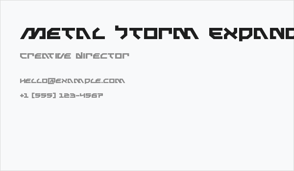 Metal Storm Expanded Business Card