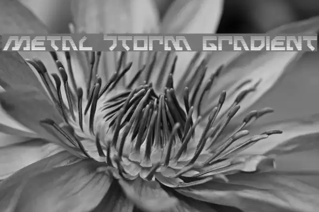 Metal Storm Gradient Font examples